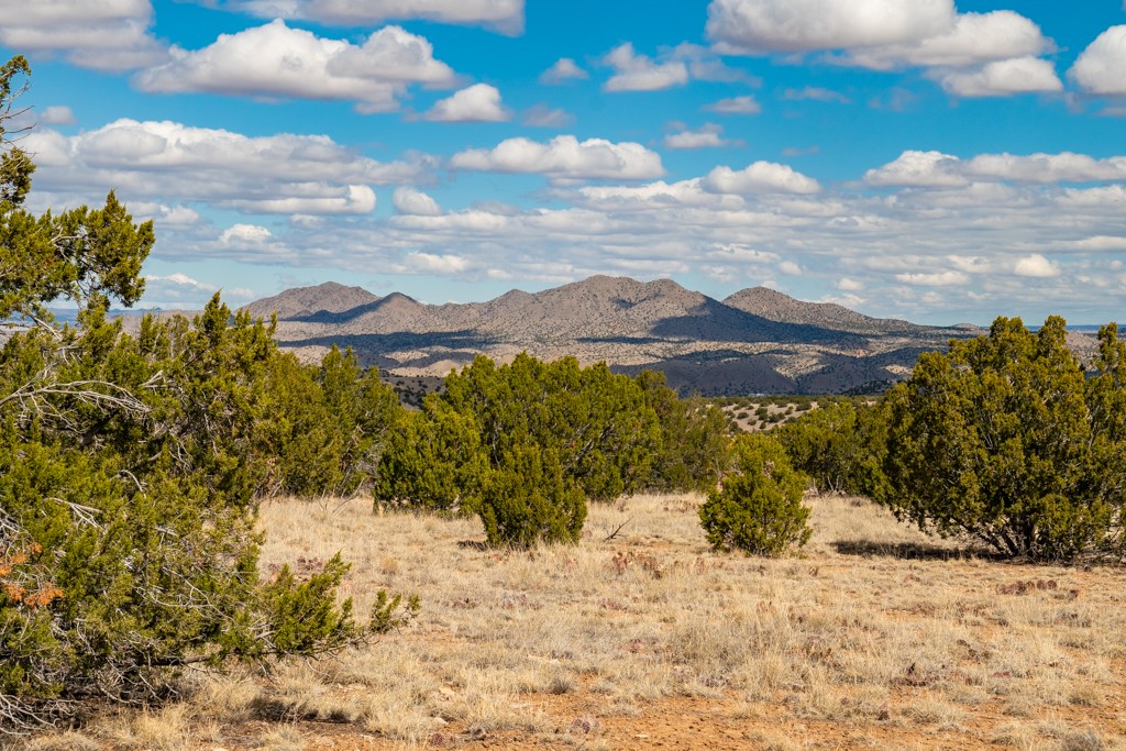 Tbd Hanuman Road Cerrillos, NM 87010 - Photo 27 of 33