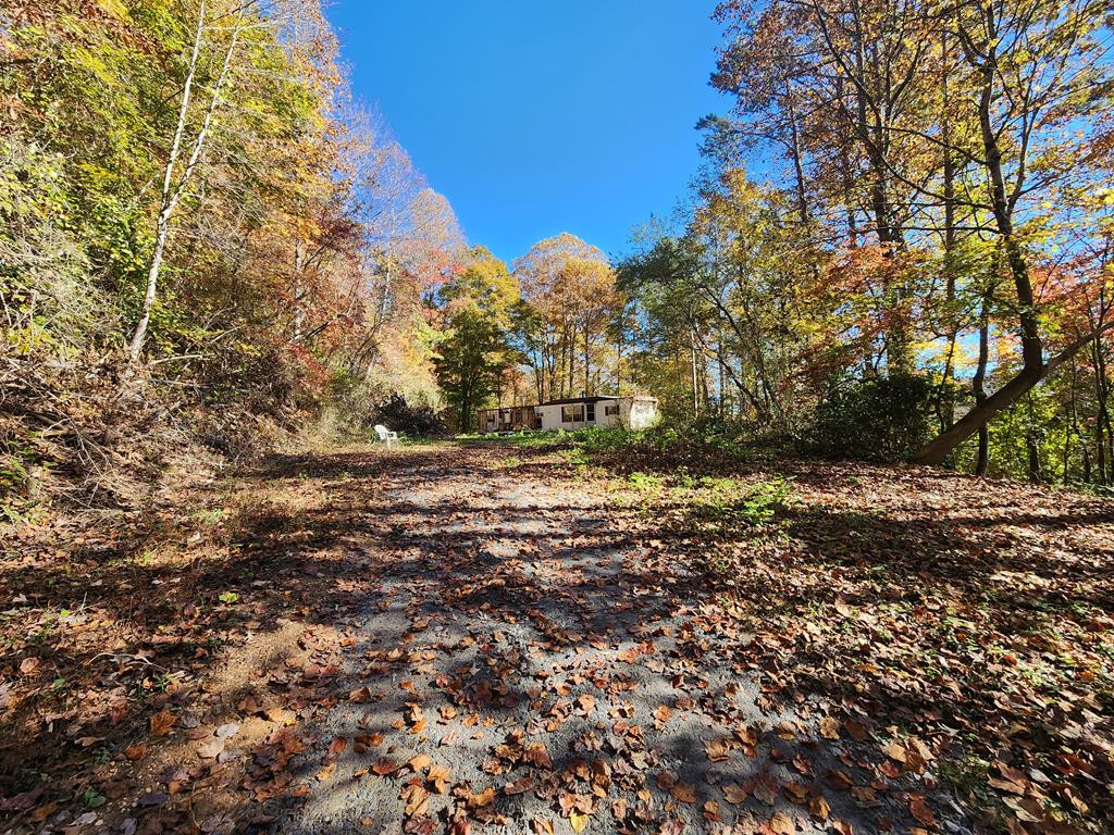 1341 Maltby Road Marble, NC 28905 - Photo 1 of 13 Main View