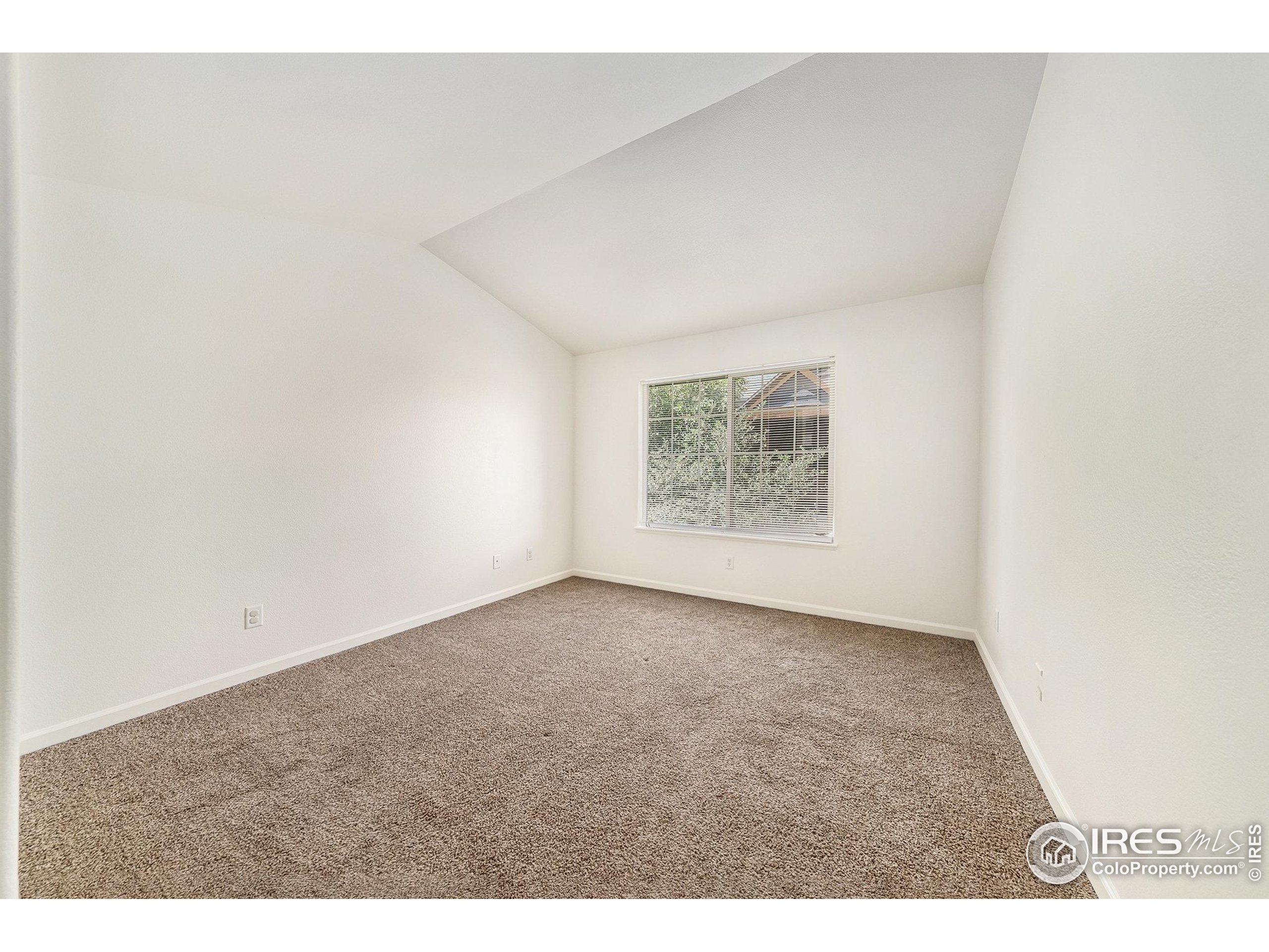 124 Beacon Way Windsor, CO 80550 - Photo 21 of 25