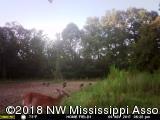 240 North Red Banks Road Red Banks, MS 38635 - Photo 32 of 32 MOULTRIE DIGITAL GAME CAMERA