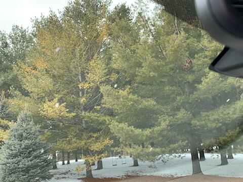 4280 Stinson Road Herron, MI 49744 - Photo 17 of 41 Gallery Image 17