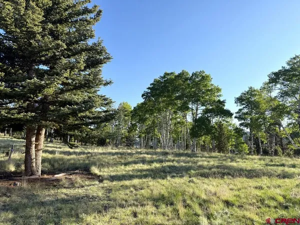 a view of outdoor space with green field and trees