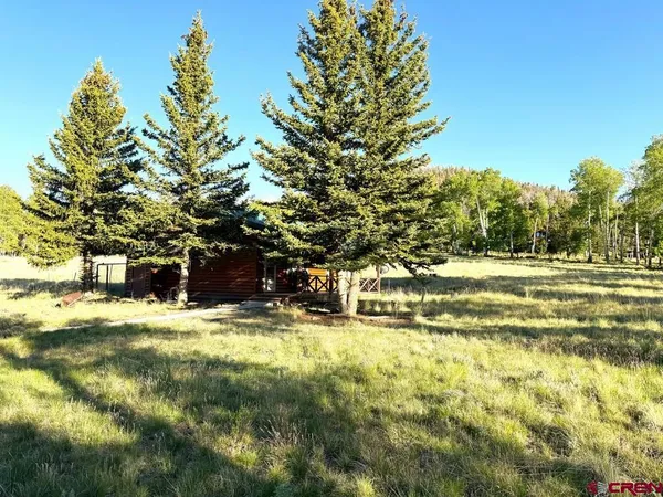 a view of outdoor space and yard