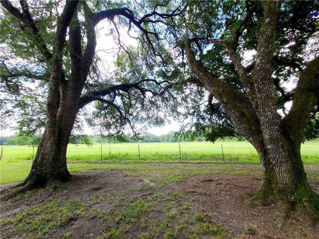 127 Herman Rush Road Deville, LA 71328 - Photo 20 of 23