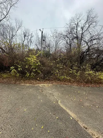 a view of a field with trees in the background