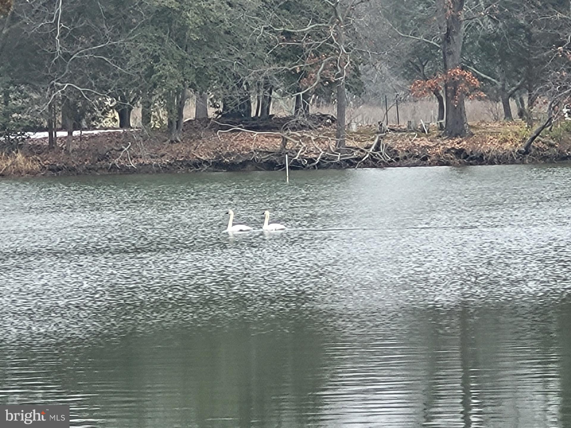 939 Main Street Deale, MD 20751 - Photo 36 of 37 a view of lake view