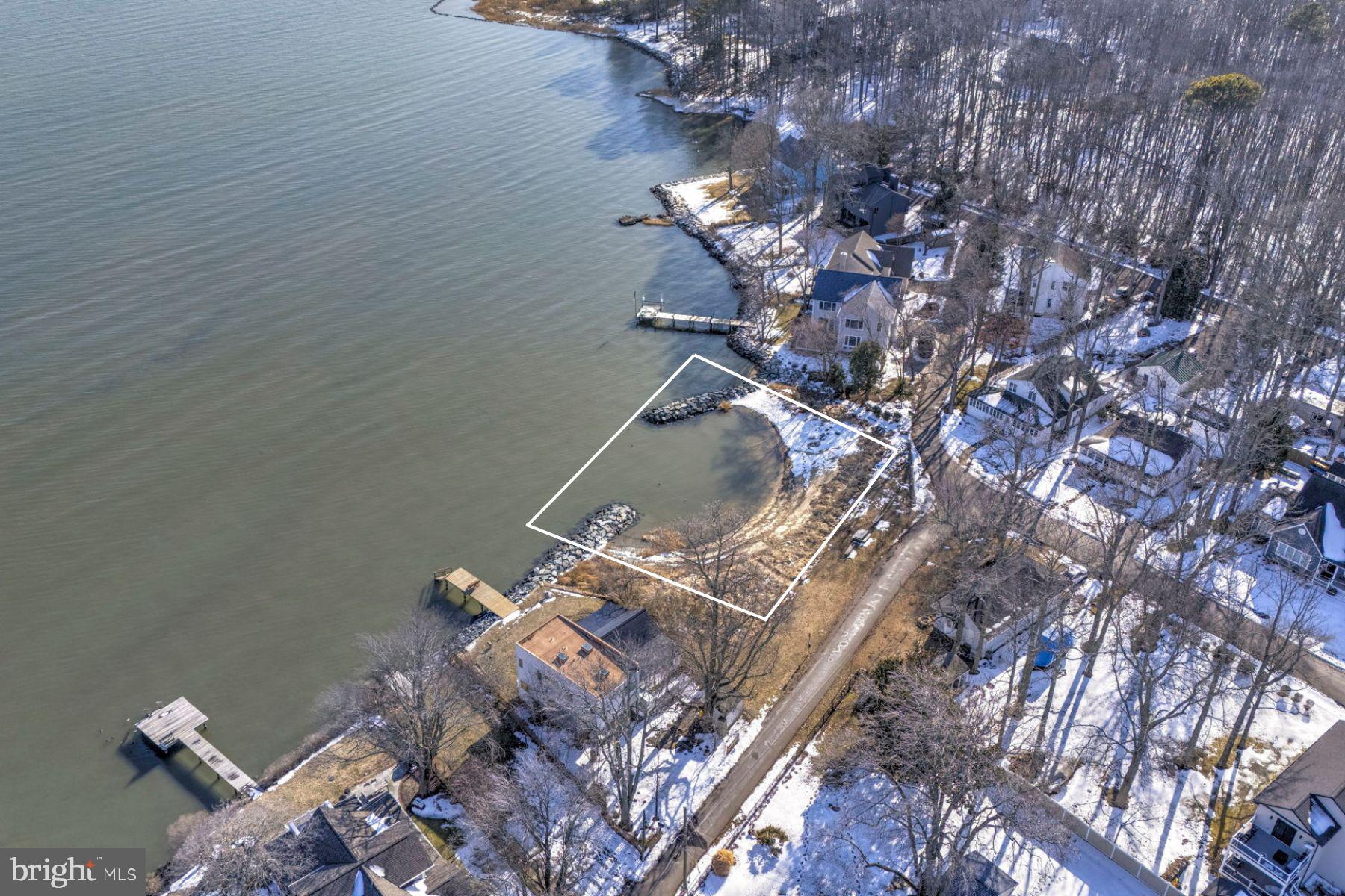 939 Main Street Deale, MD 20751 - Photo 5 of 33 a picture of tree