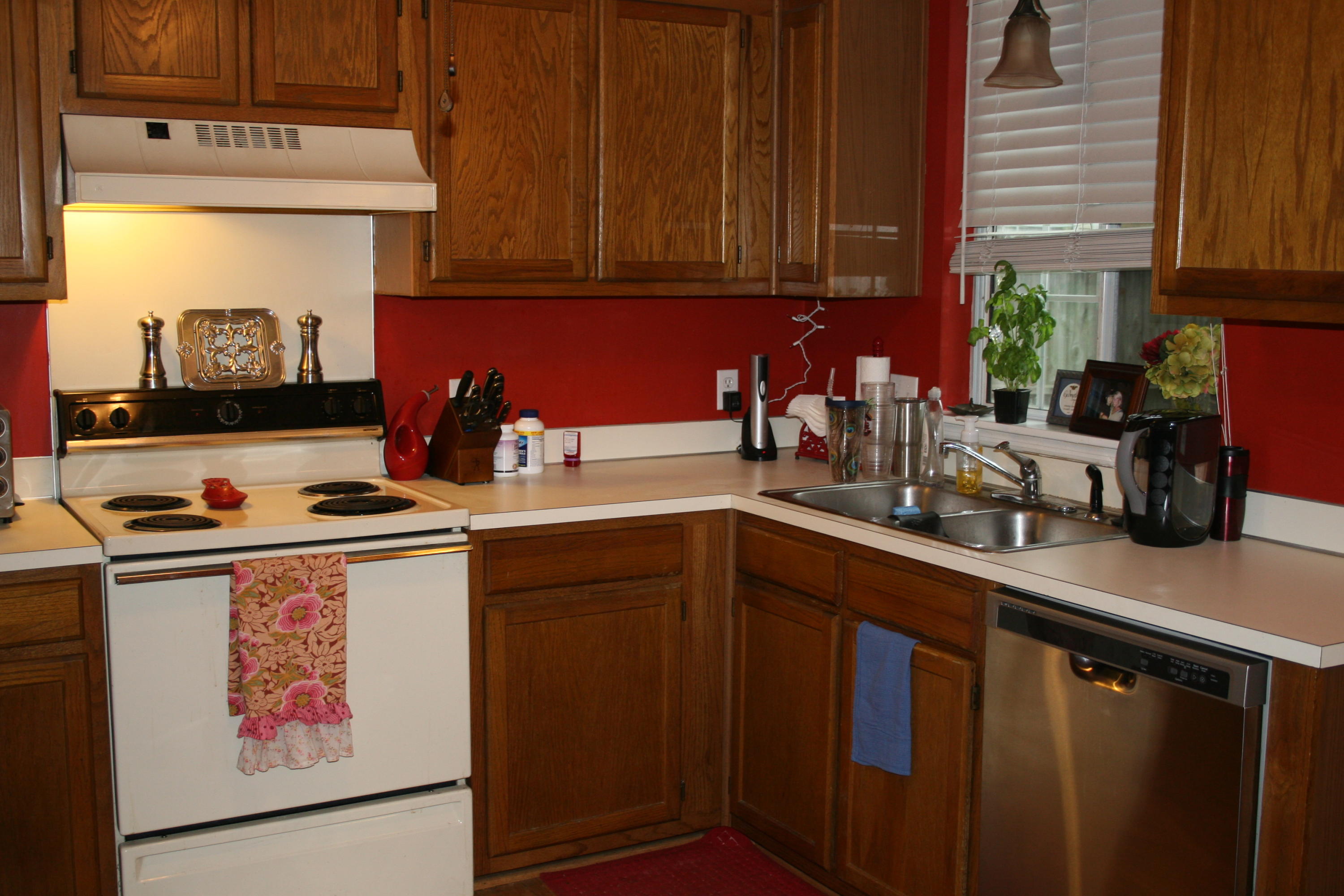 1863 Beechwood Road Charleston, SC 29414 - Photo 3 of 10 IMG_1784