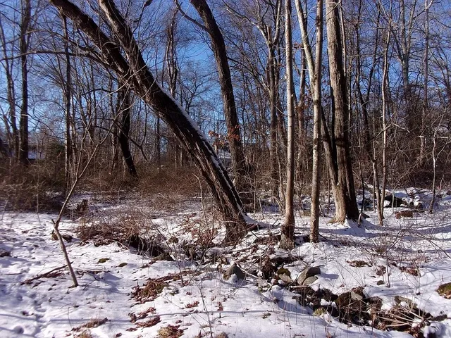 $330,000 | 90 Chestnut Hill Road, Millville, MA 01529