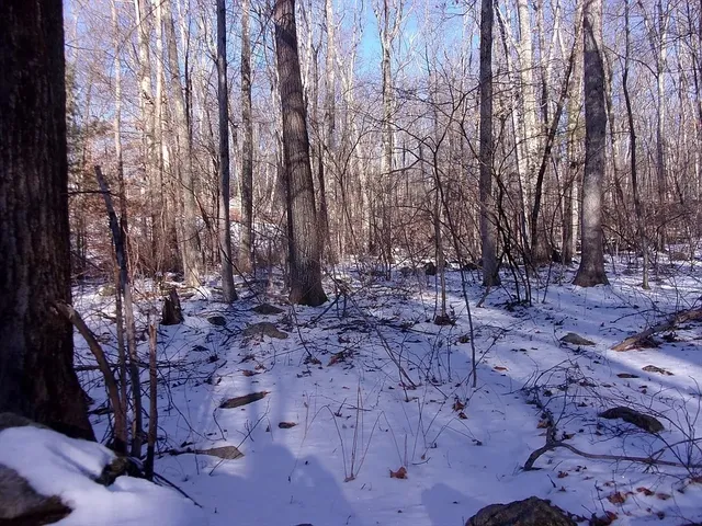 $330,000 | 90 Chestnut Hill Road, Millville, MA 01529