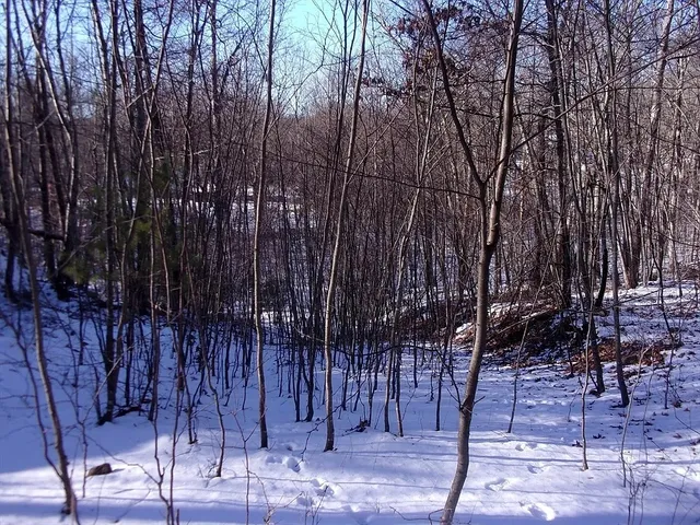 $330,000 | 90 Chestnut Hill Road, Millville, MA 01529