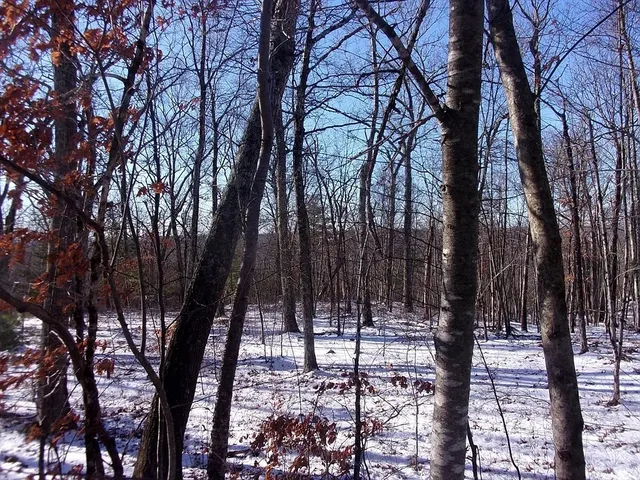 $330,000 | 90 Chestnut Hill Road, Millville, MA 01529