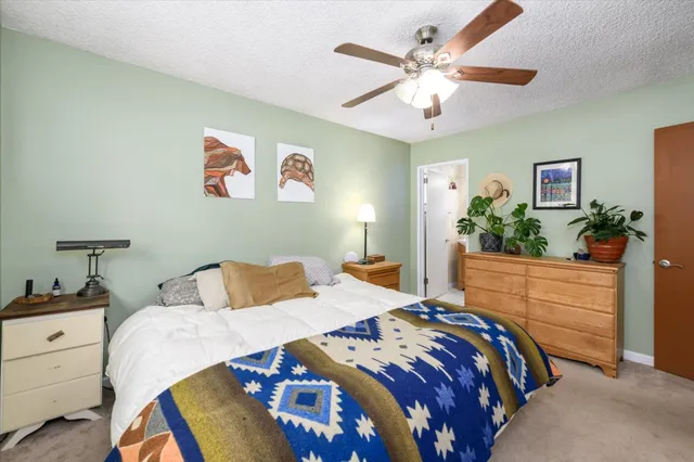 a bedroom with a bed and ceiling fan