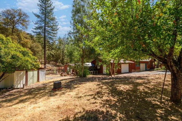 a tree in front of a white house