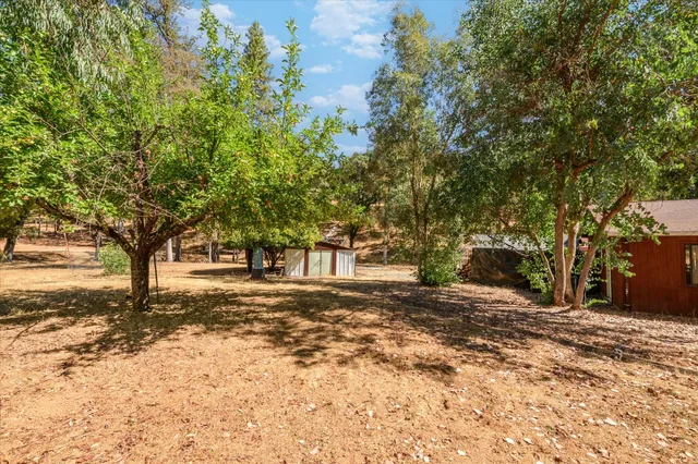 a view of a yard with trees
