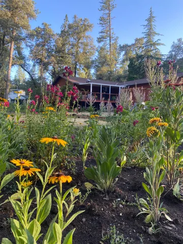 a view of a house with a yard and garden