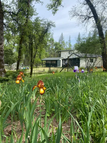 an aerial view of a house with swimming pool garden and patio