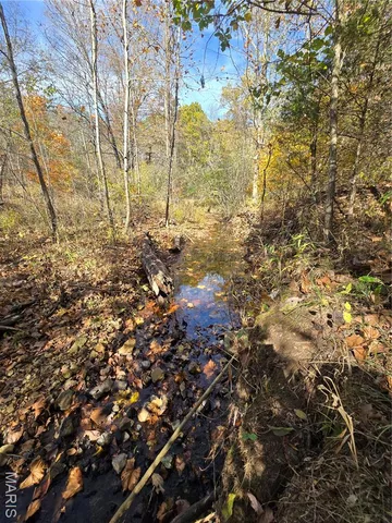 $189,000 | 42 Highway 32, Bismarck, MO 63624