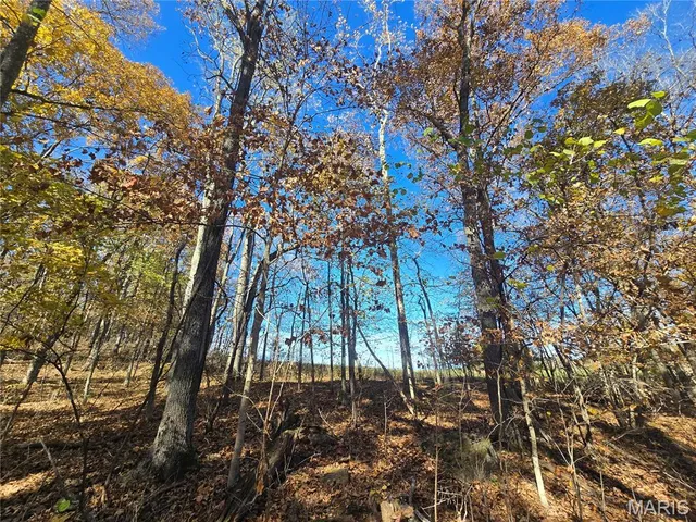 $189,000 | 42 Highway 32, Bismarck, MO 63624