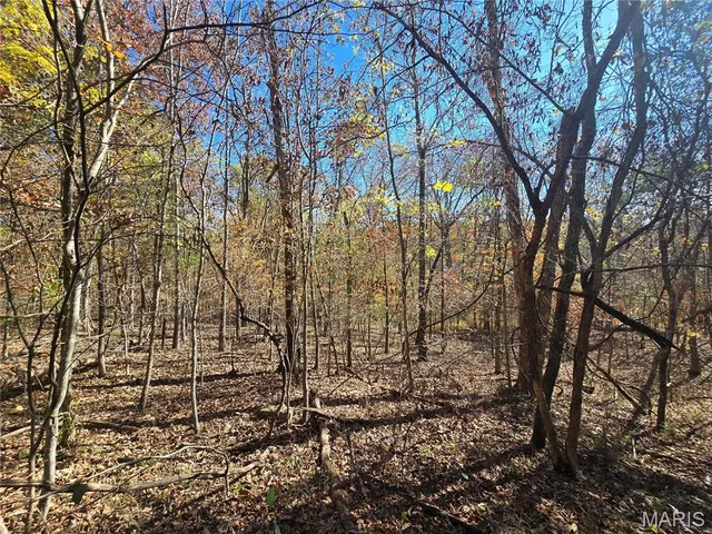 $189,000 | 42 Highway 32, Bismarck, MO 63624