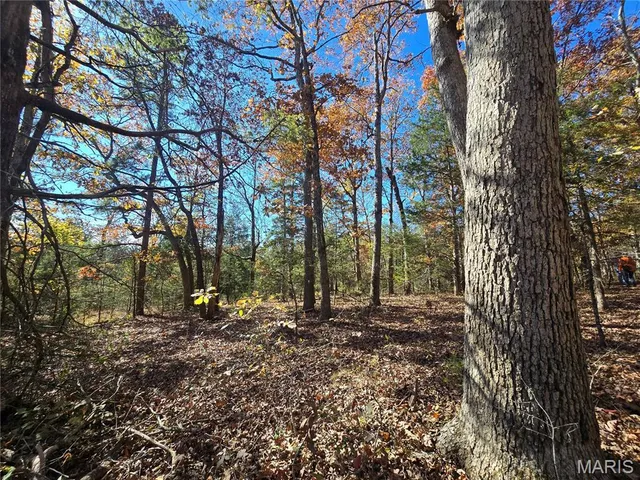 $189,000 | 42 Highway 32, Bismarck, MO 63624