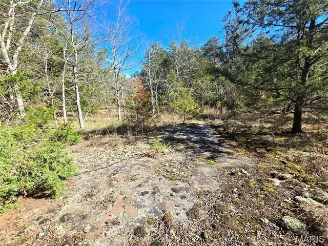 $189,000 | 42 Highway 32, Bismarck, MO 63624