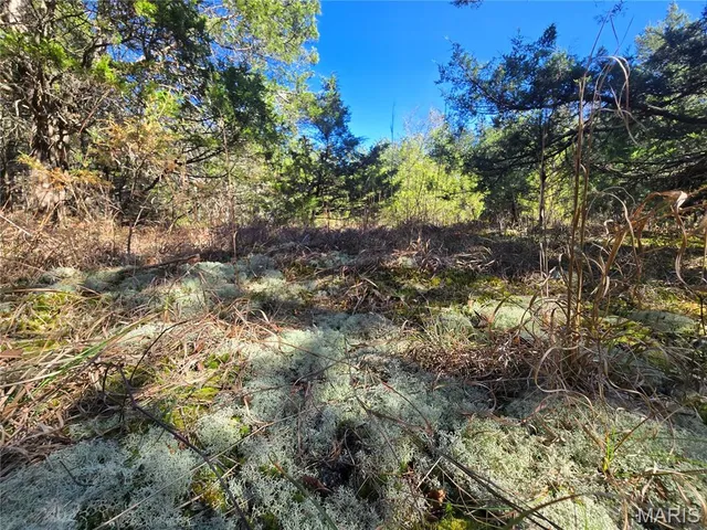 $189,000 | 42 Highway 32, Bismarck, MO 63624