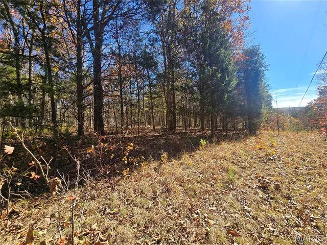 $189,000 | 42 Highway 32, Bismarck, MO 63624