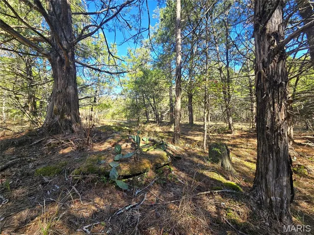 $189,000 | 42 Highway 32, Bismarck, MO 63624