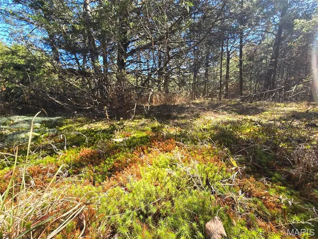 $189,000 | 42 Highway 32, Bismarck, MO 63624