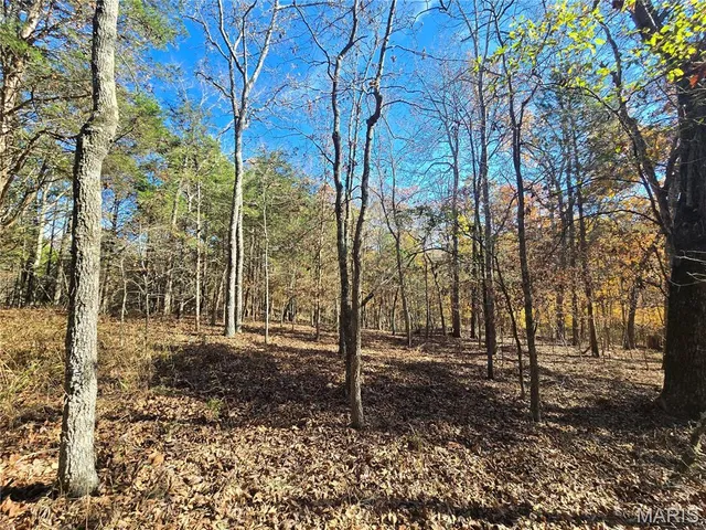 $189,000 | 42 Highway 32, Bismarck, MO 63624