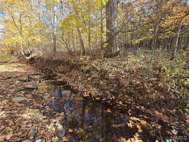 $189,000 | 42 Highway 32, Bismarck, MO 63624