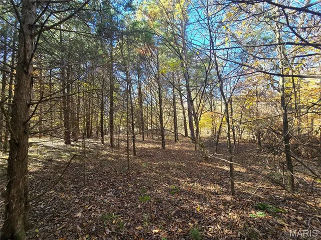 $189,000 | 42 Highway 32, Bismarck, MO 63624