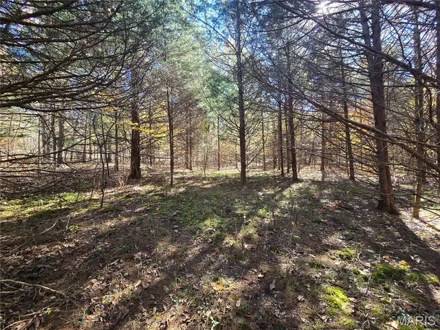 $189,000 | 42 Highway 32, Bismarck, MO 63624