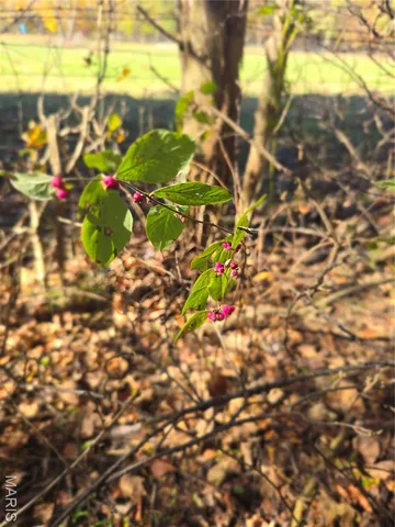 $189,000 | 42 Highway 32, Bismarck, MO 63624