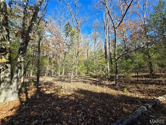 $189,000 | 42 Highway 32, Bismarck, MO 63624