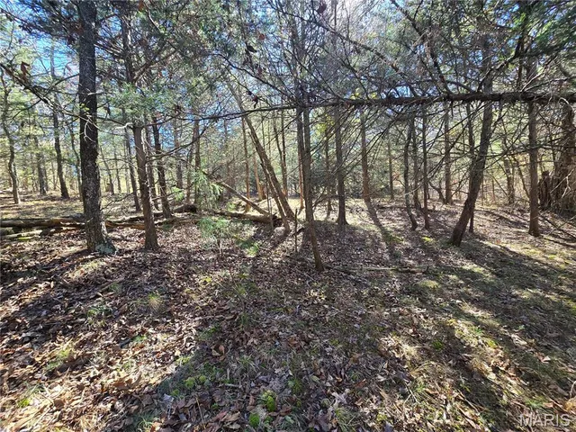 $189,000 | 42 Highway 32, Bismarck, MO 63624