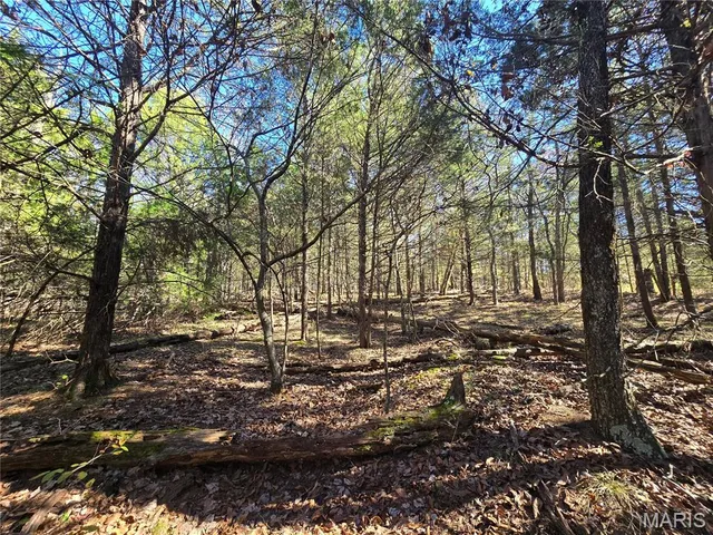 $189,000 | 42 Highway 32, Bismarck, MO 63624