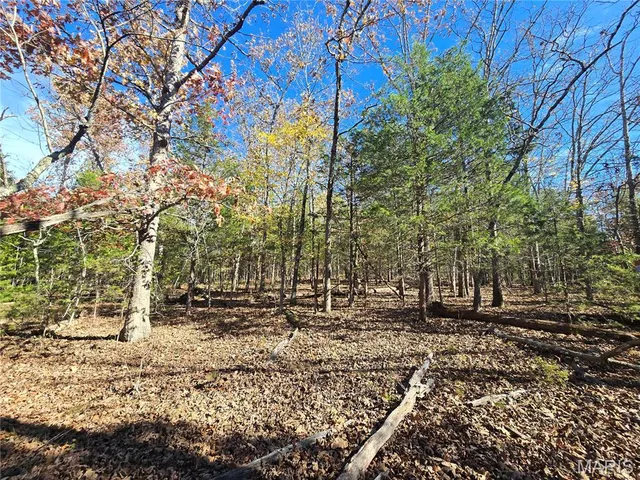 $189,000 | 42 Highway 32, Bismarck, MO 63624