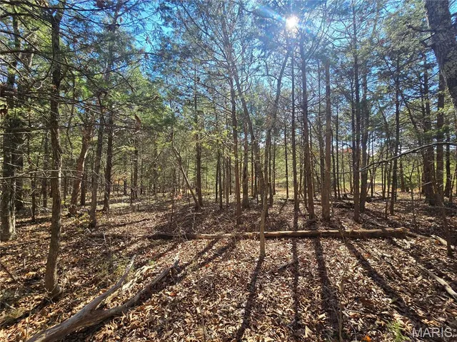 $189,000 | 42 Highway 32, Bismarck, MO 63624