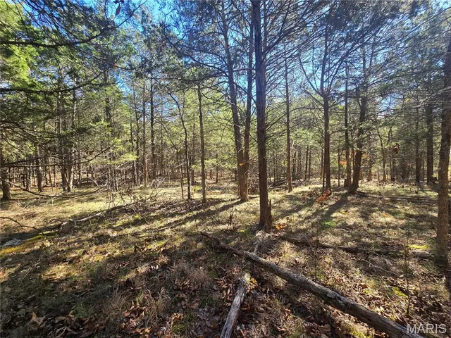 $189,000 | 42 Highway 32, Bismarck, MO 63624