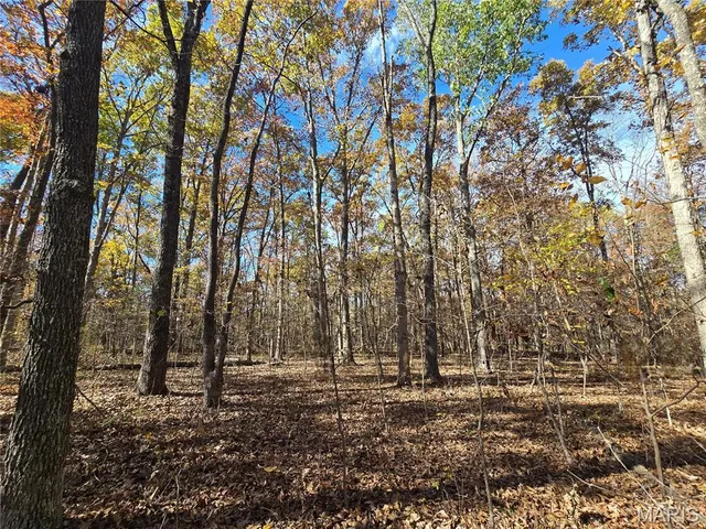 $189,000 | 42 Highway 32, Bismarck, MO 63624