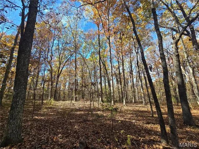 $189,000 | 42 Highway 32, Bismarck, MO 63624