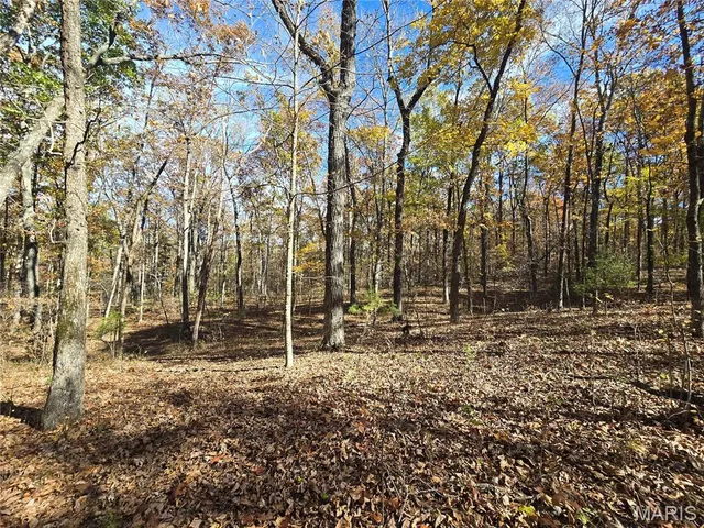 $189,000 | 42 Highway 32, Bismarck, MO 63624