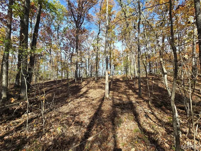 $189,000 | 42 Highway 32, Bismarck, MO 63624