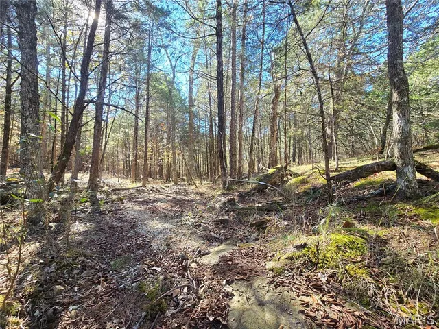 $189,000 | 42 Highway 32, Bismarck, MO 63624