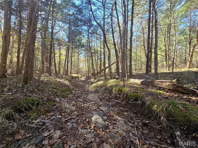 $189,000 | 42 Highway 32, Bismarck, MO 63624