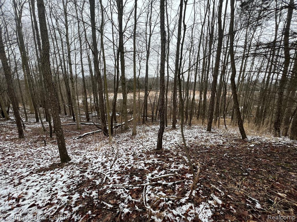 V/l Harper Road Mason, MI 48854 - Photo 26 of 26