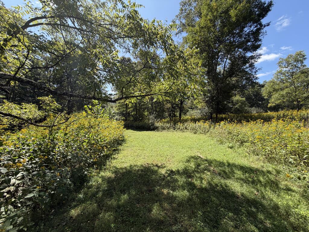 2443 Bruce Allen Road Hinton, WV 25951 - Photo 58 of 75 Gallery Image 58
