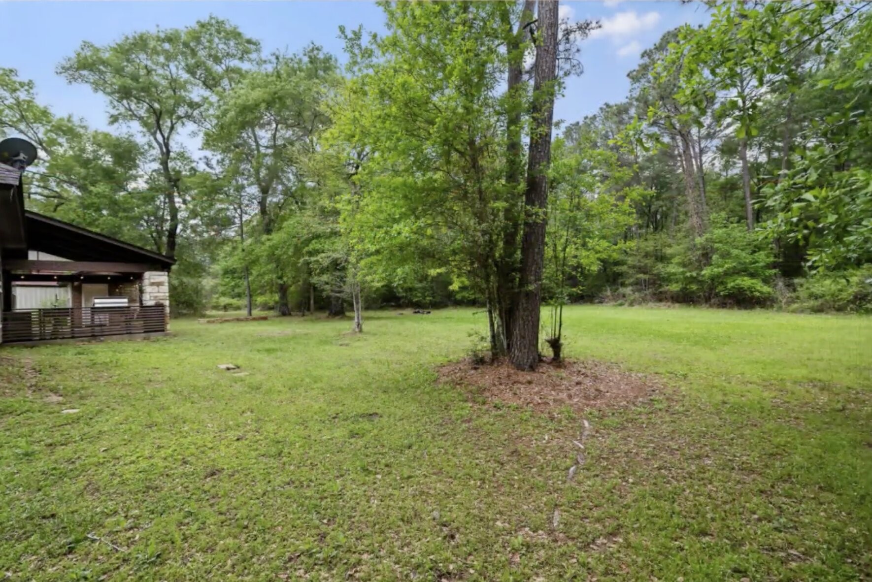 30338 Riley Road Waller, TX 77484 - Photo 34 of 46 a view of a tree in a yard